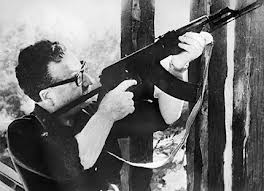 allende guerrillero