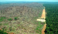 deforestacion amazonia