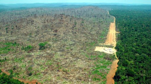 deforestacion amazonia