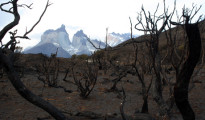 CHILE-FIRE-ENVIRONMENT-TOURISM-TORRES DEL PAINE