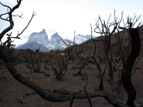 CHILE-FIRE-ENVIRONMENT-TOURISM-TORRES DEL PAINE