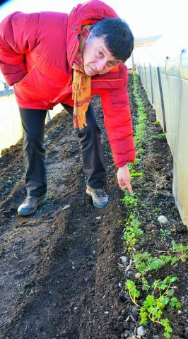 indap-sustentabilidad