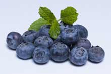 arandano-blueberry-chile